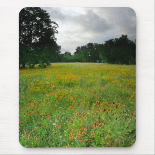 Wildflower Meadow - Butler Trail - Austin Texas Mouse Pad