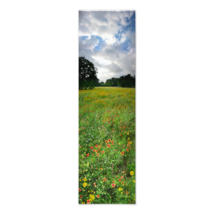 Wildflower Meadow - Butler Trail - Austin Texas Photo Print