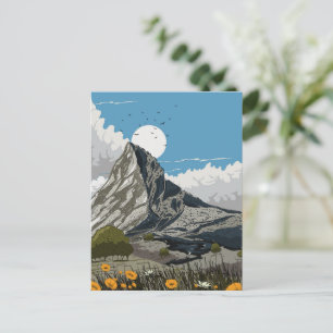 Wildflower Meadow Mountain Postcard