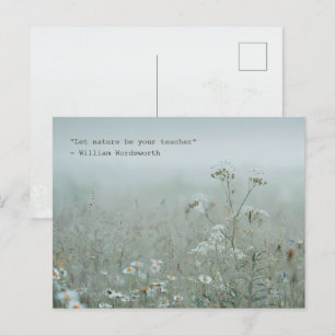 Wildflower Meadow - nature aesthetic Postcard