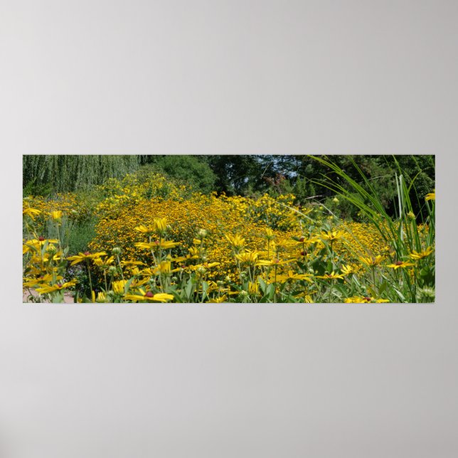 Wildflower Meadow Panoramic Poster (Front)