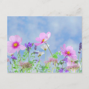 Wildflower Postcard