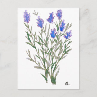 Wildflower Postcard