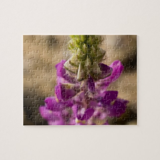 Wildflower Puzzle 4 (Horizontal)