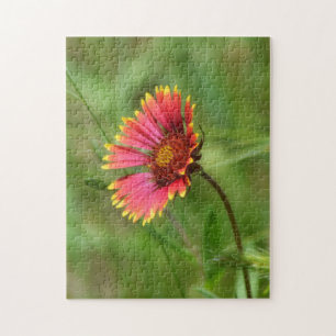 Wildflower Puzzle Indian Blanket Flower Red Flower