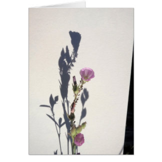 Wildflower Shadow 2014
