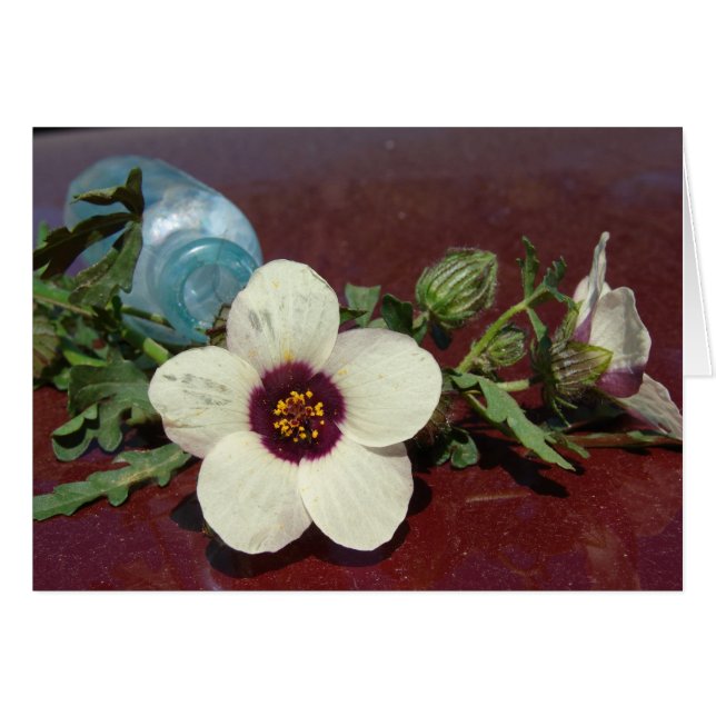 Wildflower Still Life (Front Horizontal)