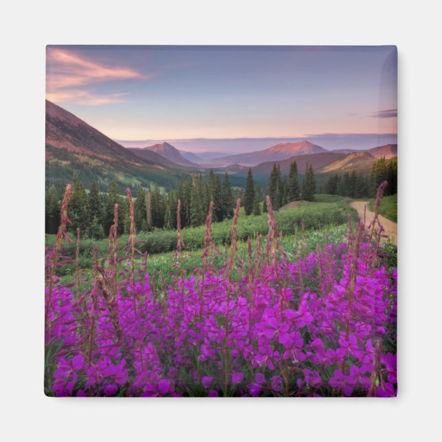 Wildflower Sunrise | Crested Butte, Colorado Magnet (Front)