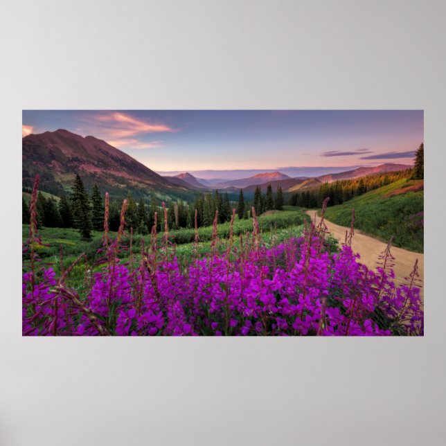 Wildflower Sunrise | Crested Butte, Colorado Poster (Front)