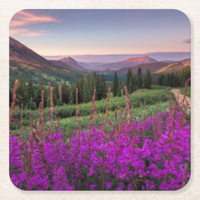 Wildflower Sunrise | Crested Butte, Colorado Square Paper Coaster (Front)