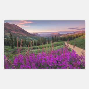 Wildflower Sunrise Crested Butte, Colorado Sticker