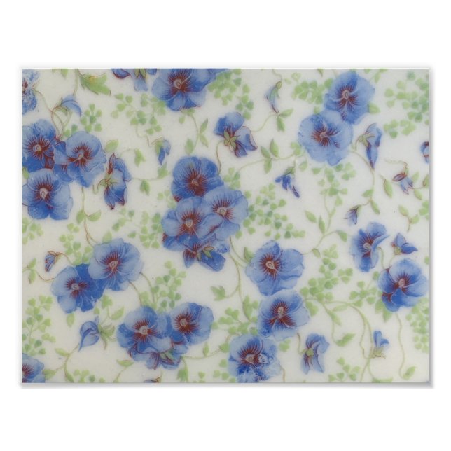 Wildflower Violet Photo Print (Front)