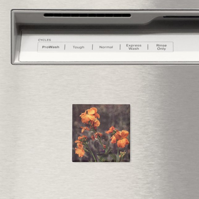 Wildflower: Wallflower Magnet (In Situ (Dishwasher))