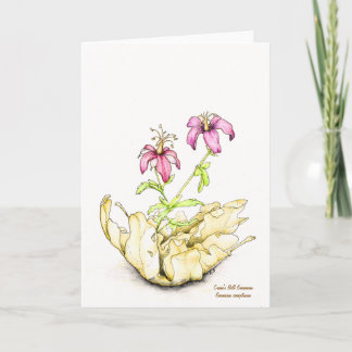 Wildflower watercolor geranium greeting card