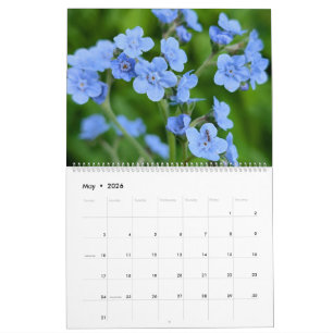 Wildflower Wonders – A Year of Natural Beauty Calendar