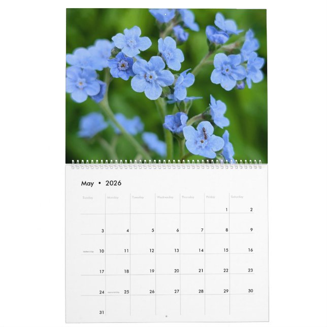 Wildflower Wonders – A Year of Natural Beauty Calendar (May 2026)