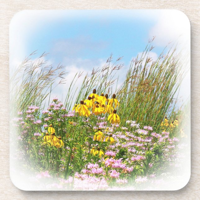 Wildflowers 11 coasters (Front)