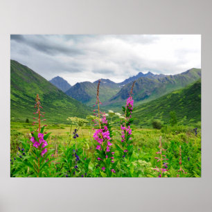 Wildflowers Alaskan Valley Poster
