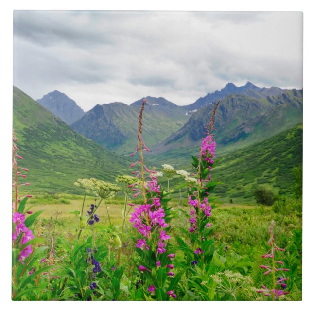 Wildflowers Alaskan Valley Tile (Front)