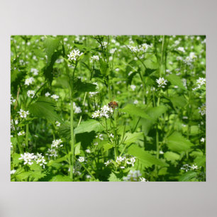 Wildflowers and a Bee Poster