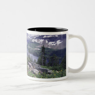 Wildflowers and Hidden Lake, Shrubby Two-Tone Coffee Mug