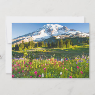 Wildflowers and Hiker