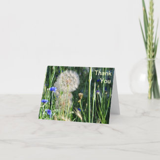 Wildflowers and Puffball, Thank You Card