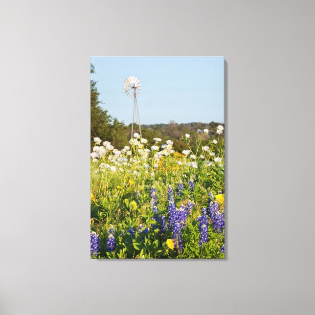 Wildflowers And Windmill In Texas Hill Country Canvas Print (Front)