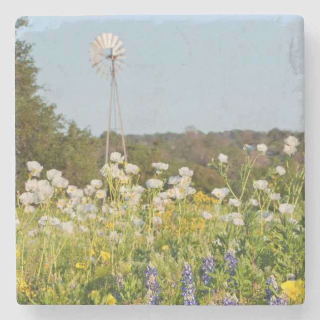 Wildflowers And Windmill In Texas Hill Country Stone Coaster (Front)