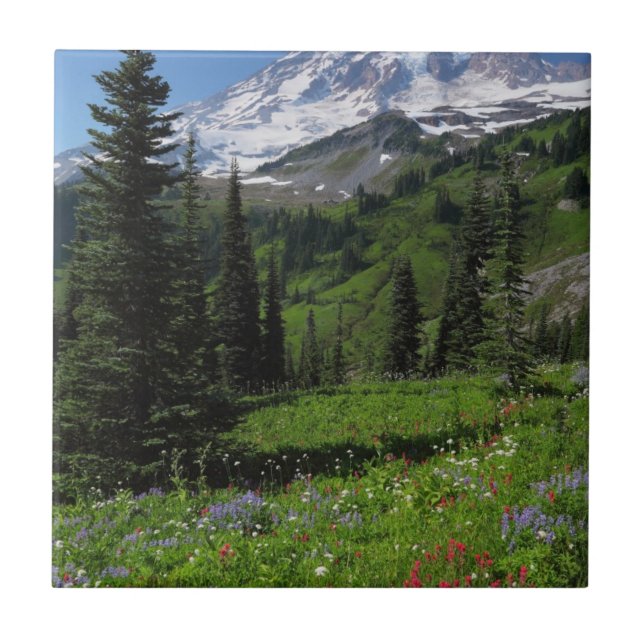 Wildflowers at Mount Rainier Tile (Front)
