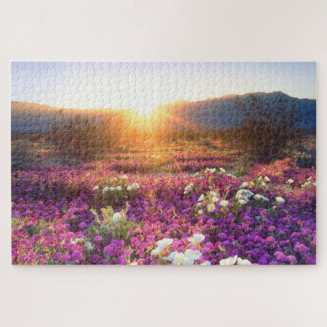 Wildflowers at sunset | Anza-Borrego Desert Jigsaw Puzzle (Horizontal)