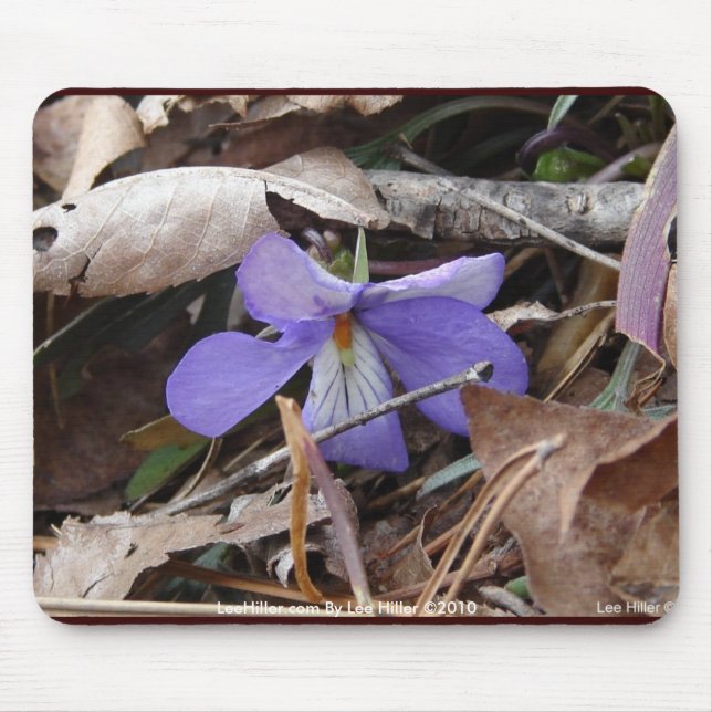 WildFlowers Birds-Foot Violet Hot Springs AR Gifts Mouse Pad (Front)