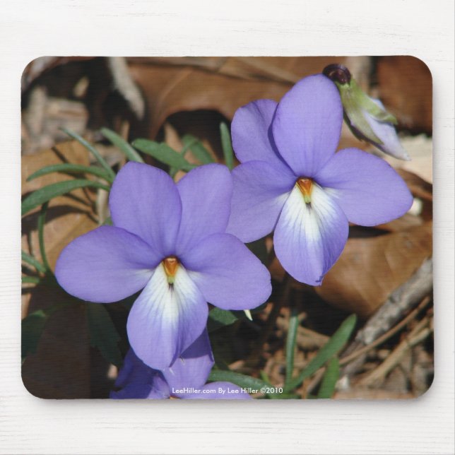 WildFlowers Birds-Foot Violet III Gifts & Apparel Mouse Pad (Front)