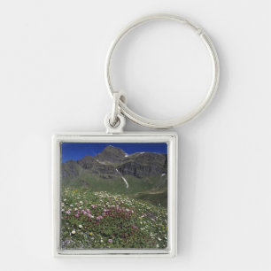 Wildflowers, blooming, Alps, Switzerland Keychain