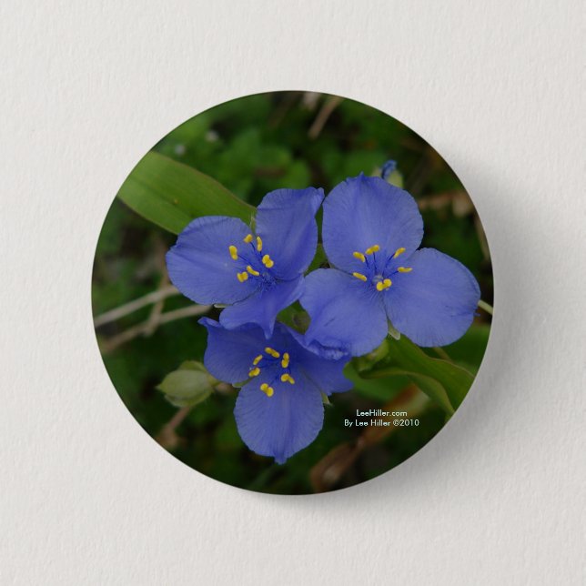 Wildflowers Blue Spiderwort Hot Springs AR Gifts 2 Inch Round Button (Front)