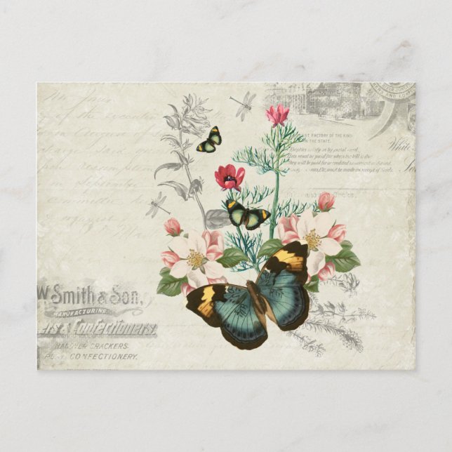 Wildflowers Butterflies Vintage Ephemera Postcard (Front)