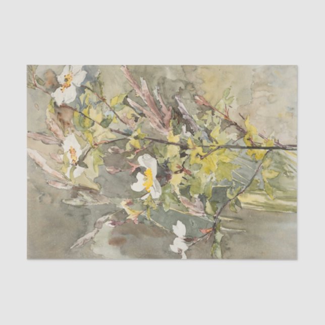 Wildflowers by Barbara Bodichon Tissue Paper (Front)