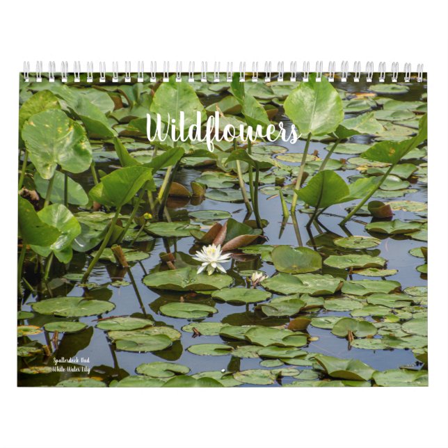 Wildflowers Calendar (Cover)
