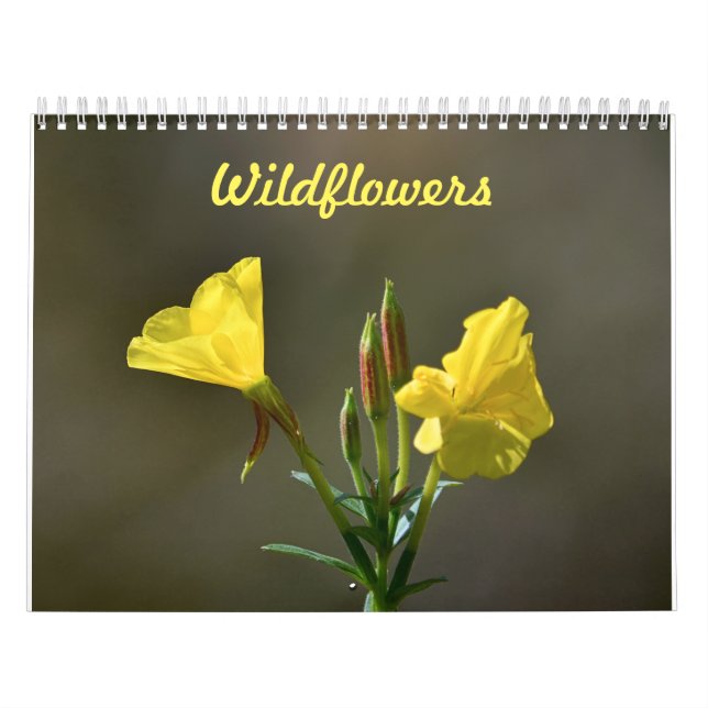 Wildflowers Calendar (Cover)