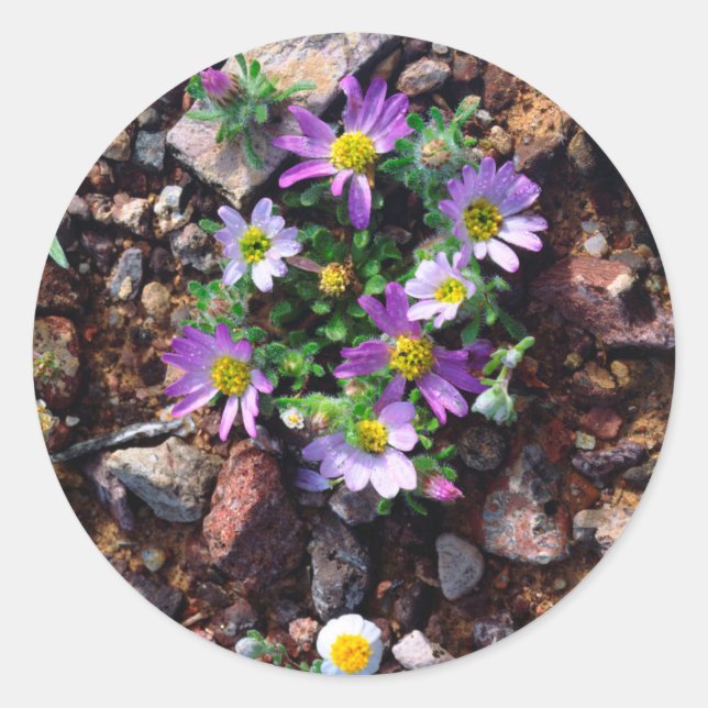 Wildflowers Classic Round Sticker (Front)