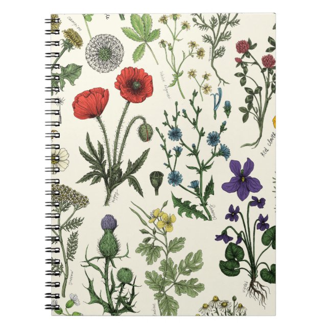 Wildflowers collage notebook (Front)