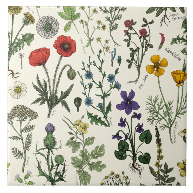 Wildflowers collage tile (Front)