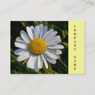 WILDFLOWERS DAISY BUSINESS CARD