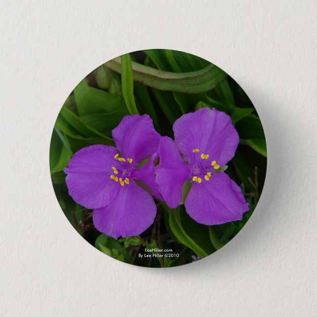 Wildflowers Fuchsia Spiderwort Hot Springs Gifts 2 Inch Round Button (Front)