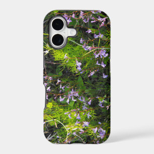 Wildflowers in a Field of Greens