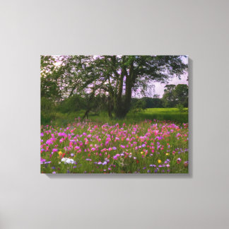 Wildflowers in the Country at Dusk Canvas Print