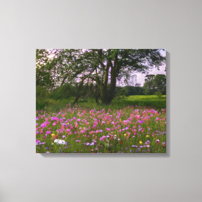 Wildflowers in the Country at Dusk Canvas Print (Front)
