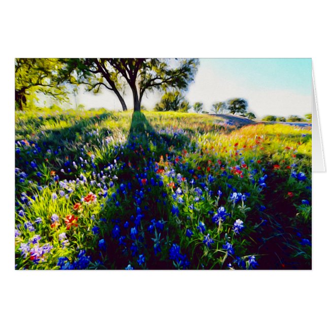 Wildflowers, Light, and Shadow (Front Horizontal)