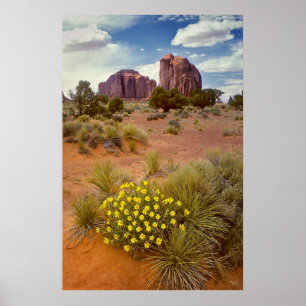 Wildflowers - Monument Valley - Arizona Poster