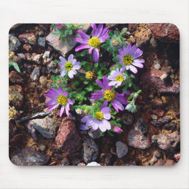 Wildflowers Mouse Pad (Front)